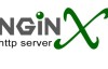 Nginx加速网站访问速度启用Pagespeed